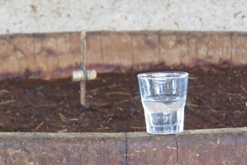 Mezcal Distilleries Local Producers Palenque and Tasting 3