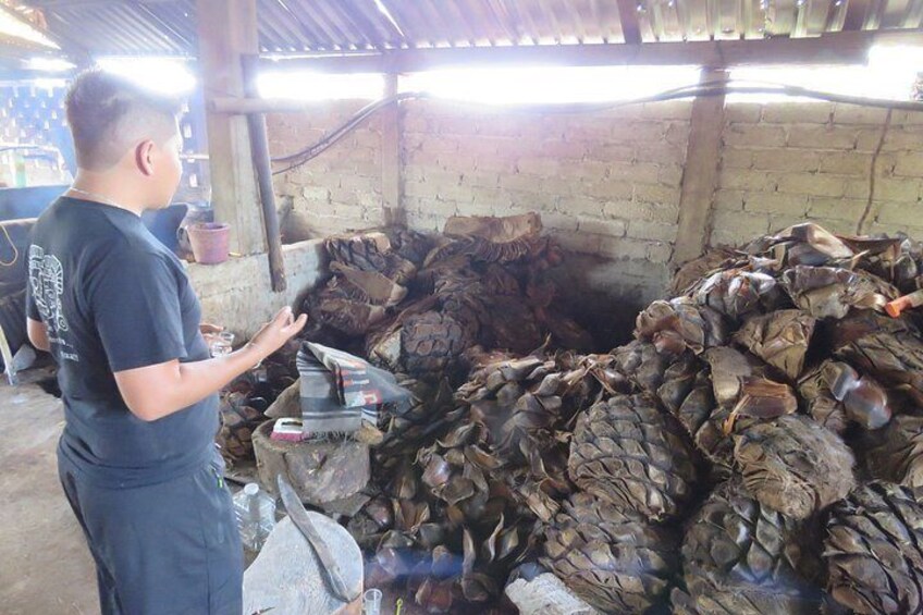 Mezcal Distilleries : Local Producers Palenque and Tasting 2
