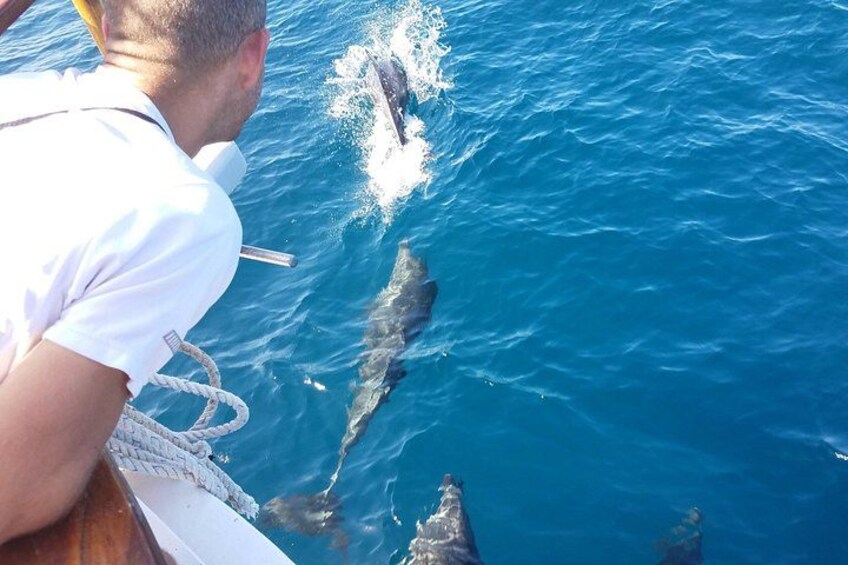 Private Boat Tour in Cinque Terre from Monterosso 5