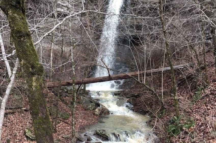 A waterfall in a forested area with a fallen tree in the foreground. 5