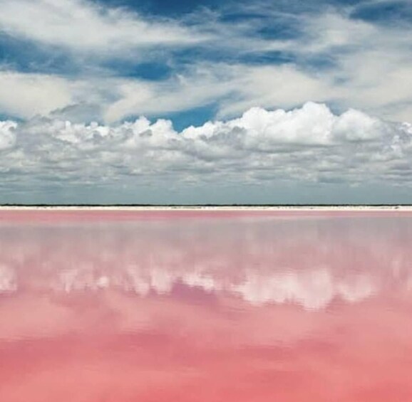 A pink salt flat with a clear reflection under a partly cloudy sky. 1