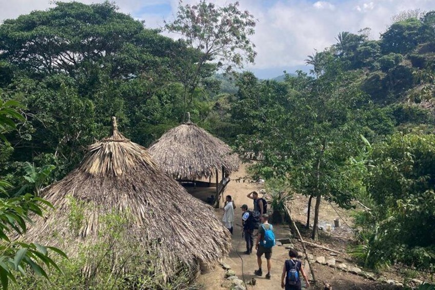 A group of people walking on a dirt path between thatched-roof huts in a forested area. 3