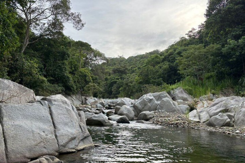 A river with large boulders, surrounded by dense green forest. 5