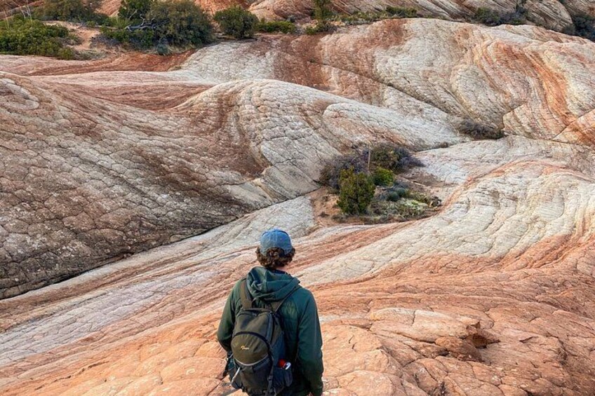 A person hiking on a rocky terrain with layered rock formations. 1