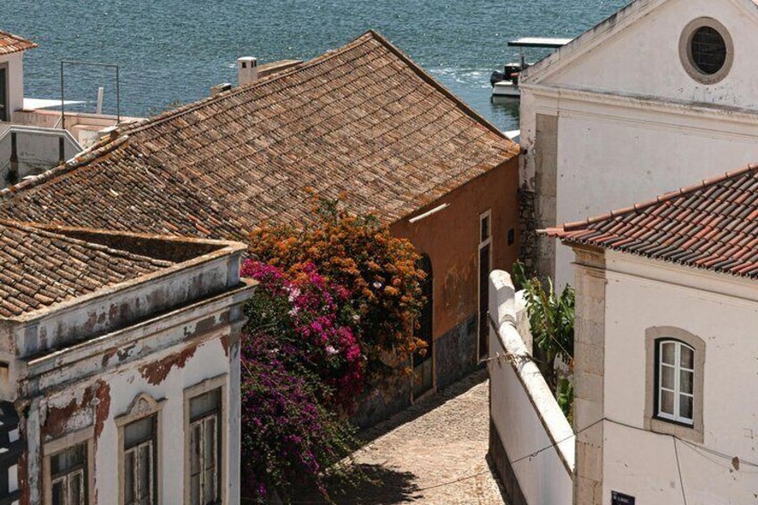 A coastal street with terracotta roofs, a white building with a circular window, and pink bougainvillea flowers. 2