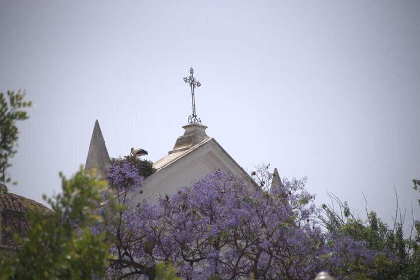 A church with a cross on the roof, surrounded by purple flowers. 1