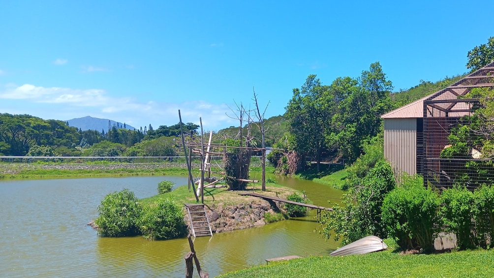 Cagou & Botanical Tour 2