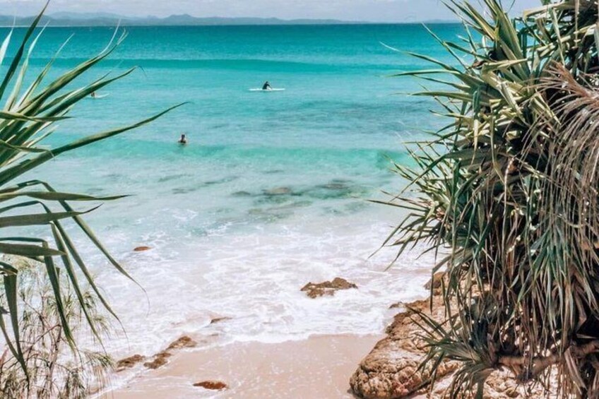Gold Coast to Byron Bay Private Tour with Scenic Stops 2