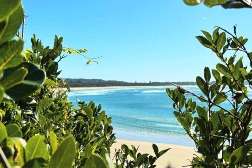 Gold Coast to Byron Bay Private Tour with Scenic Stops 5