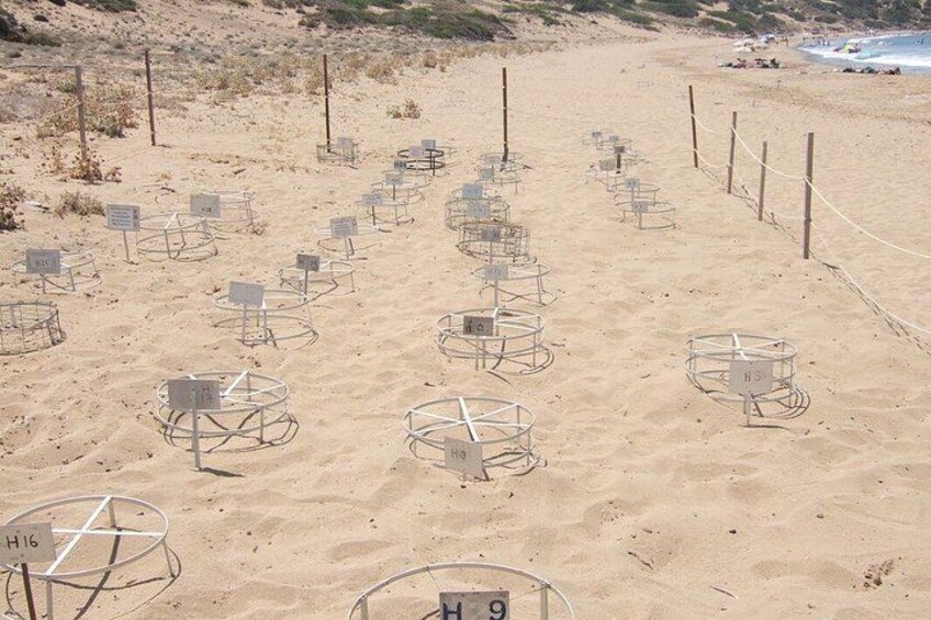 A sandy beach with metal structures and numbered signs. 4