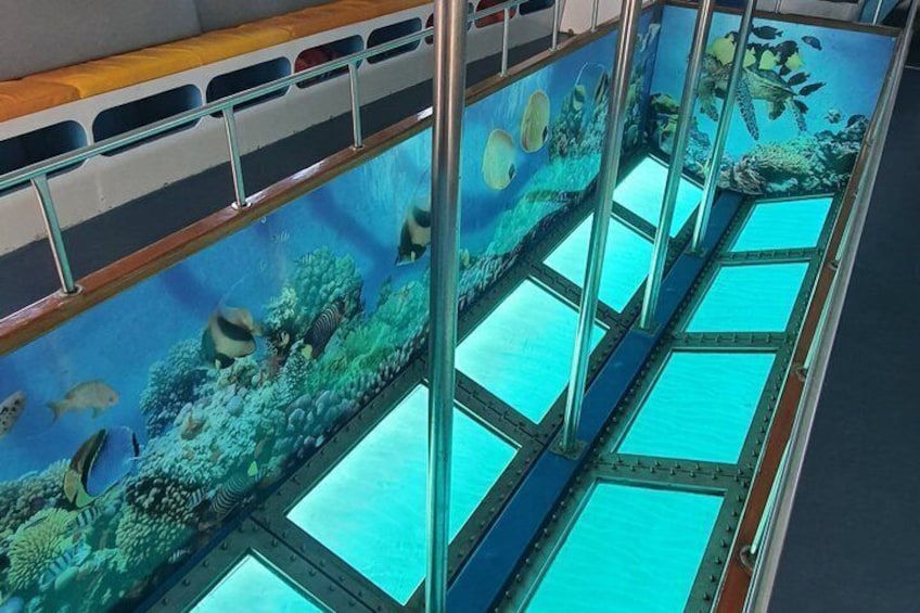 An aquarium with marine life and coral reefs. 3