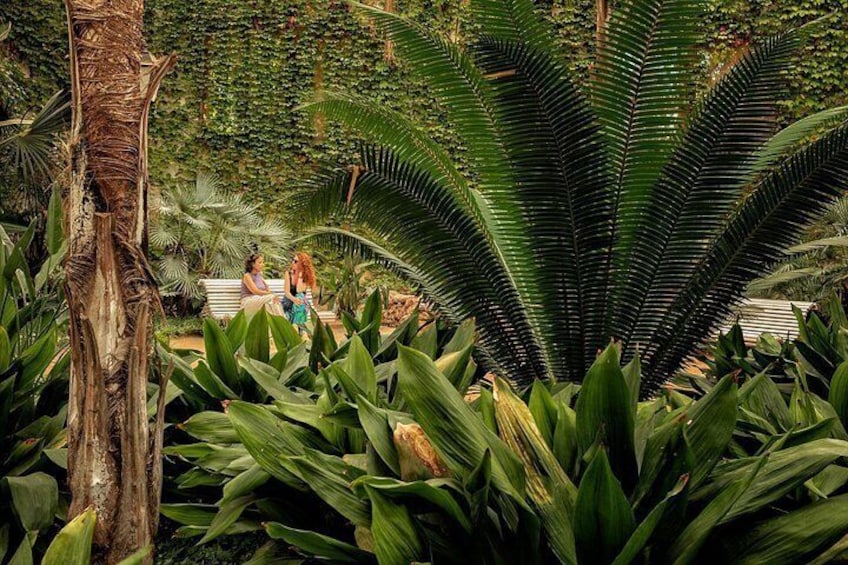 Skip the Line: Parc Samà Admission Ticket 3