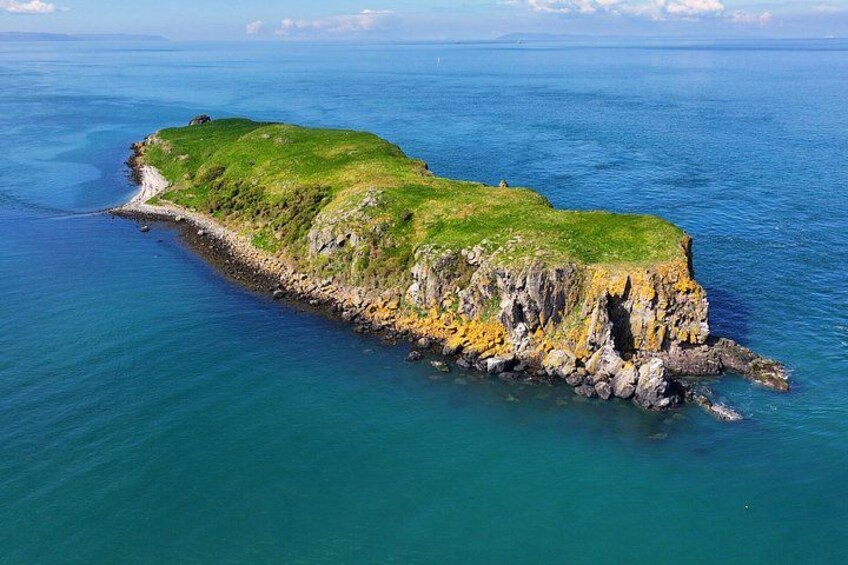 Cobh Harbour & Titanic Tour Private Shore Experience 4