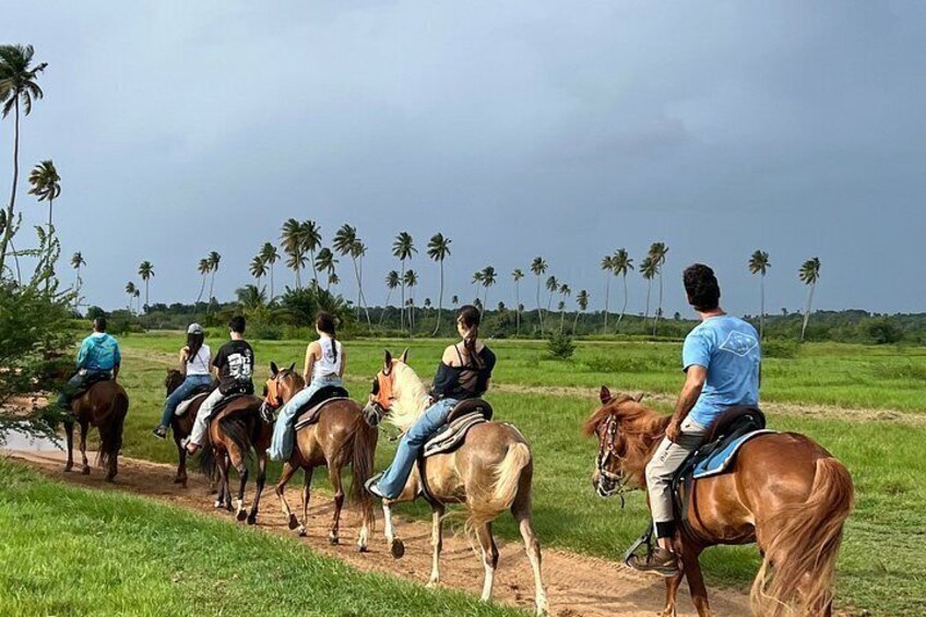 Playuela's Horseback Riding Tours on Aguadilla Beach 4