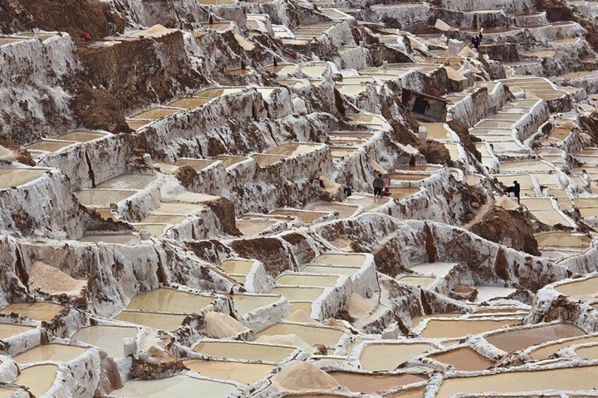 Terraced mineral pools with people walking among them. 1
