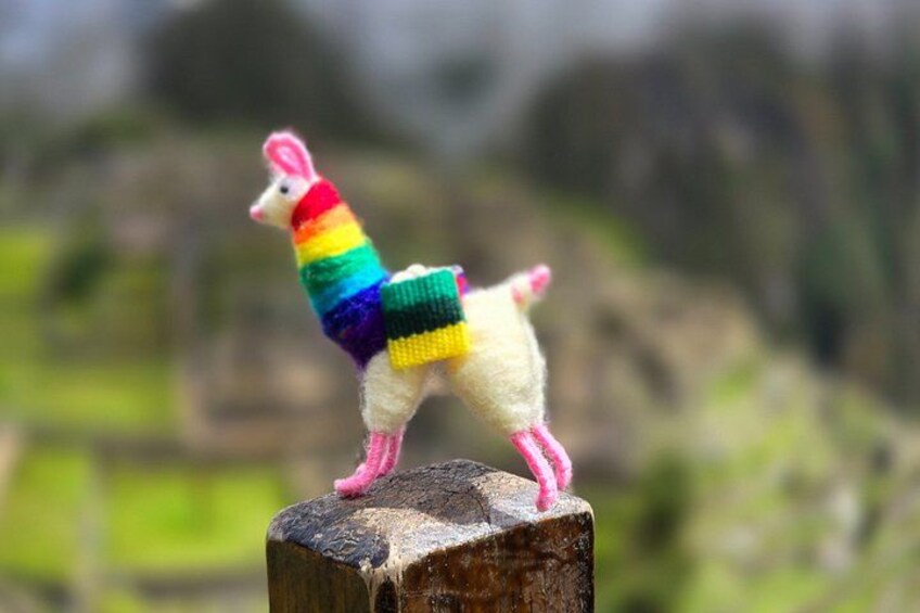 A llama standing on a wooden post with a colorful sweater. 3