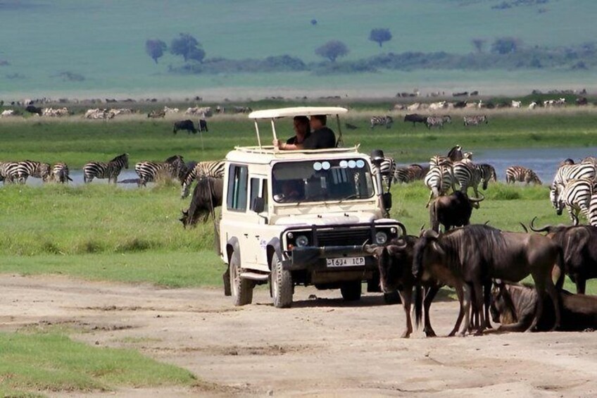 A safari vehicle on a dirt road with zebras and wildebeests in the background. 1