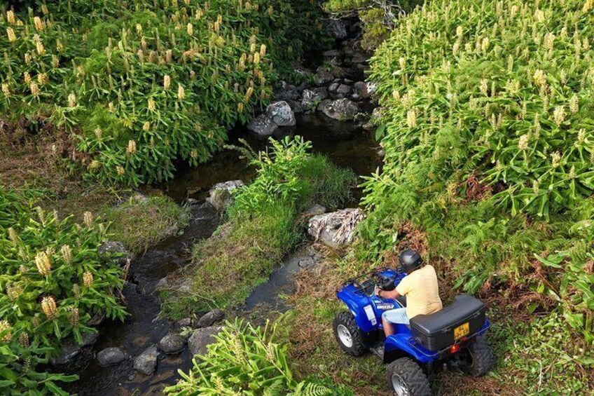 A person on a blue ATV in a natural setting with a stream and dense vegetation. 4