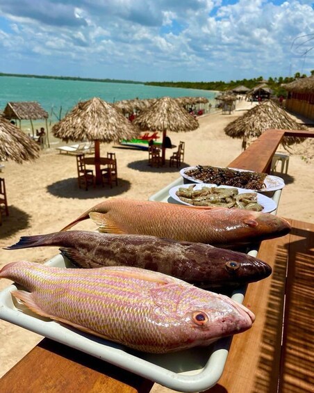 A beachside dining table with seafood, thatched umbrellas, and a view of the ocean. 1