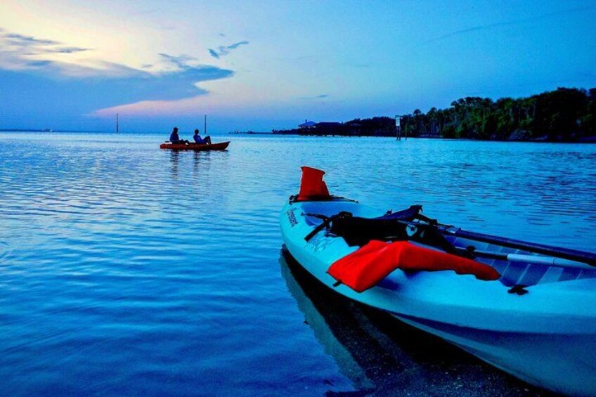 Dolphin, Manatee and Sunset Kayak and SUP Tour & Bioluminescence 1
