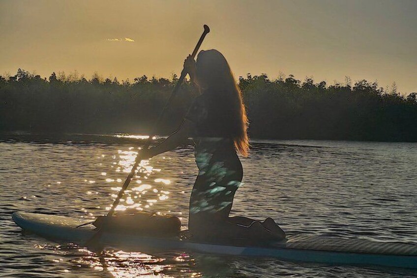 Dolphin, Manatee and Sunset Kayak and SUP Tour & Bioluminescence 4