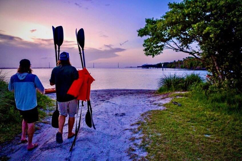 Dolphin, Manatee and Sunset Kayak and SUP Tour & Bioluminescence 2