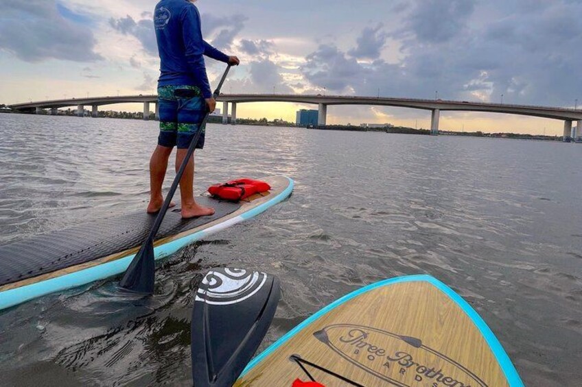 Dolphin, Manatee and Sunset Kayak and SUP Tour & Bioluminescence 5