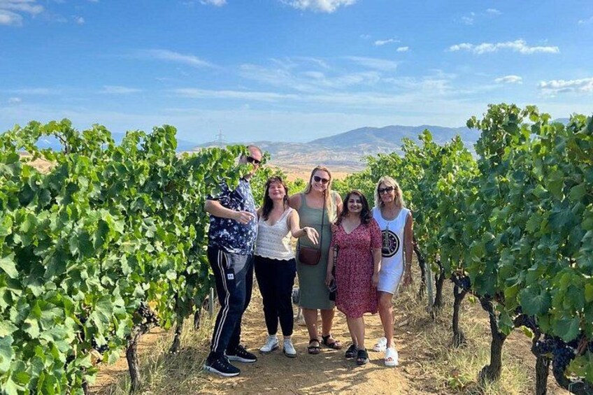 A group of people standing in a vineyard with rows of grapevines and a mountainous landscape in the background. 2