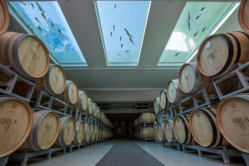 A warehouse with wooden barrels stacked on shelves, under skylights. 1