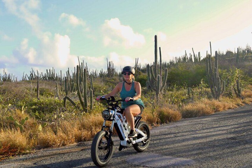 A person riding a white electric bicycle on a road with a desert landscape in the background. 5