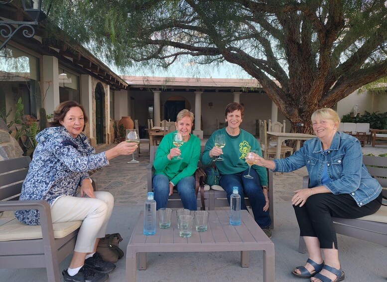 Four people sitting outdoors, toasting with wine glasses, with a large tree and patio furniture in the background. 2