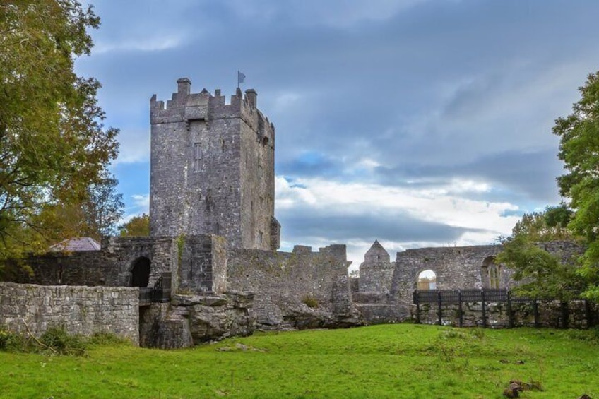 A medieval castle with a tall tower, stone walls, and a grassy field. 2