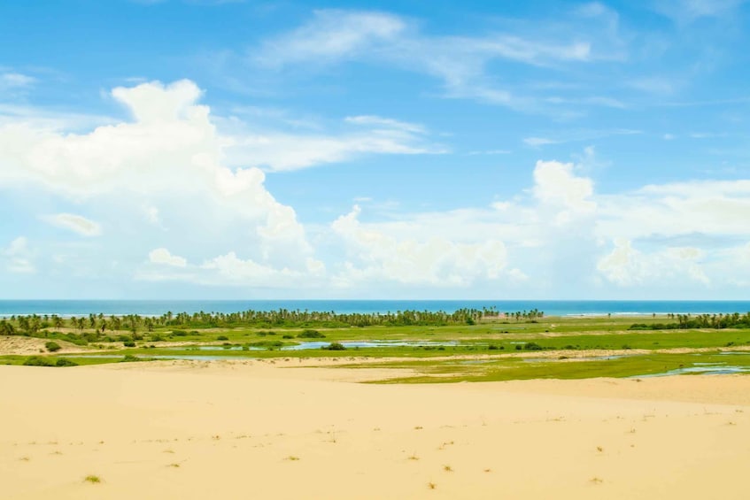 A coastal landscape with sand dunes, green vegetation, and a clear blue sky. 3