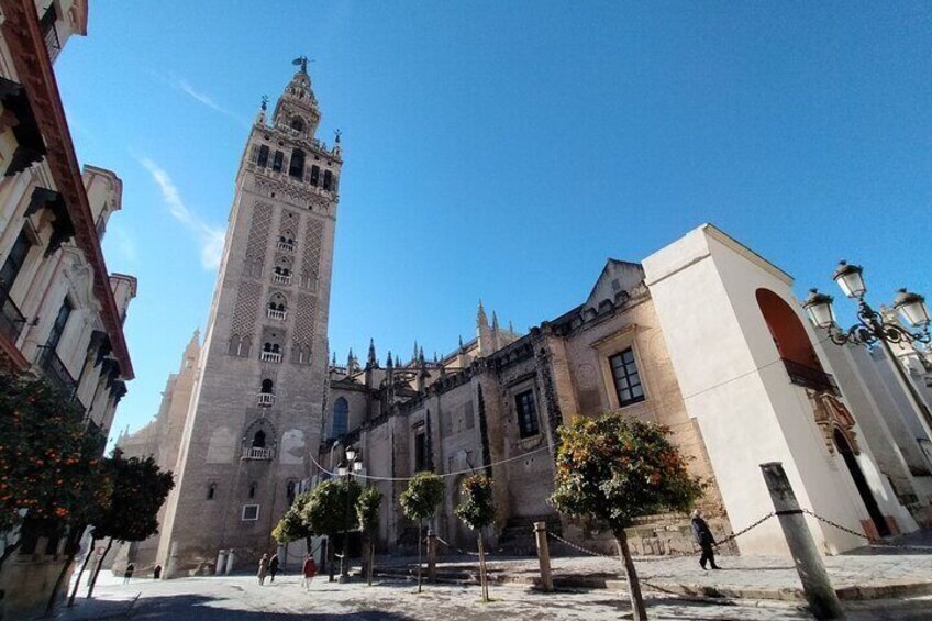 A historic building with a tall tower, a cathedral, and a tree-lined square. 5