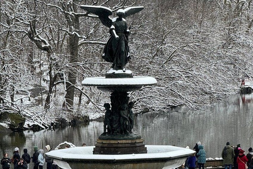 Discover Central Park Tour on Pedicab 4