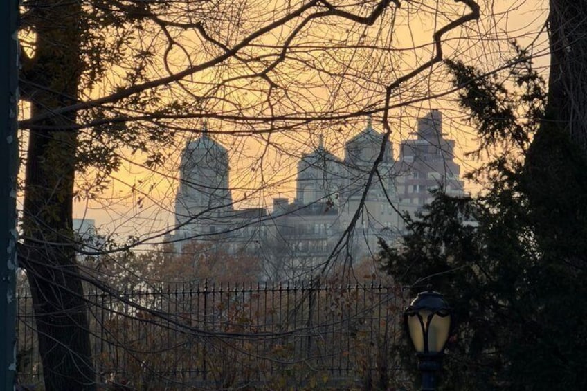 A city skyline at sunset, a fence, and a street lamp. 5