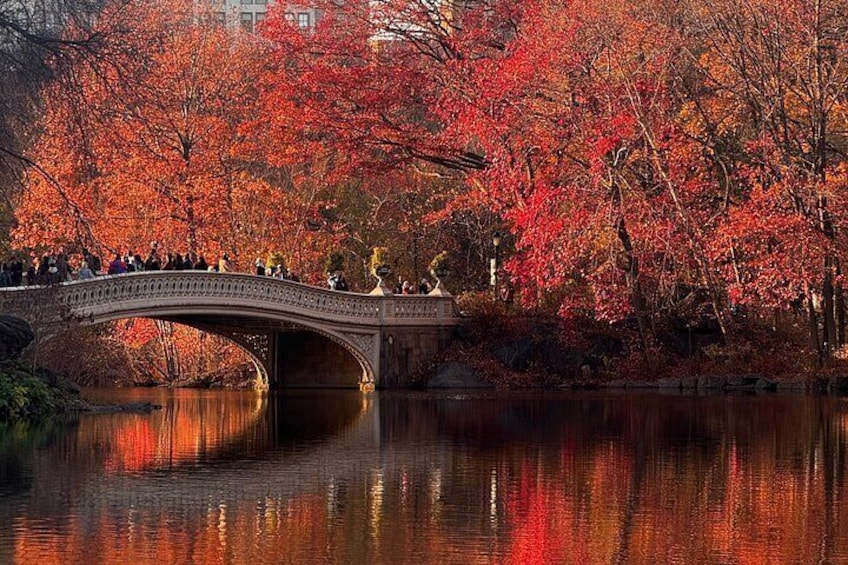 Discover Central Park Tour on Pedicab 1