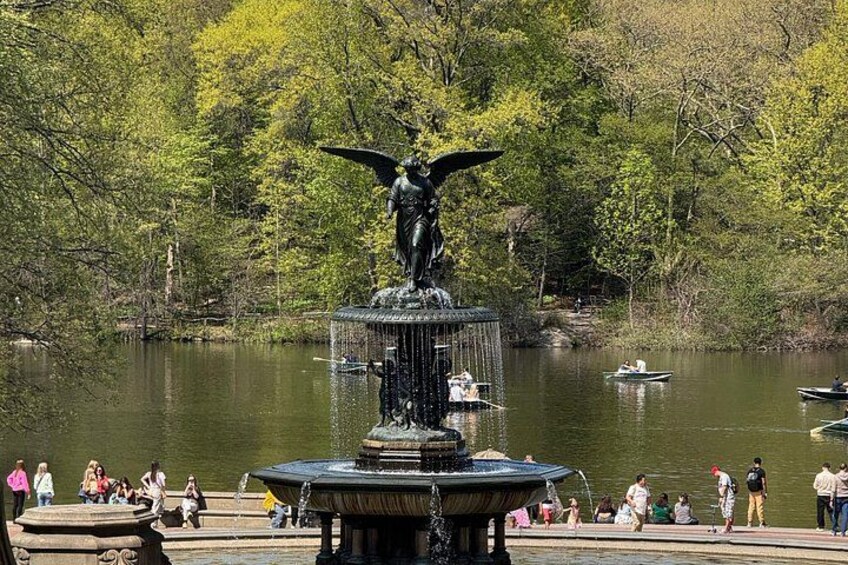 Discover Central Park Tour on Pedicab 3