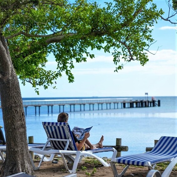 Une personne est assise sur une chaise longue sur la plage, en train de lire un livre, avec une jetée en arrière-plan. 4