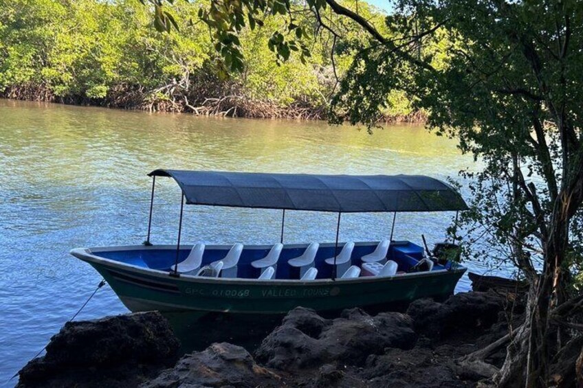 Mangrove tour, crocodiles , monkeys birds nature Boat or Kayak 5