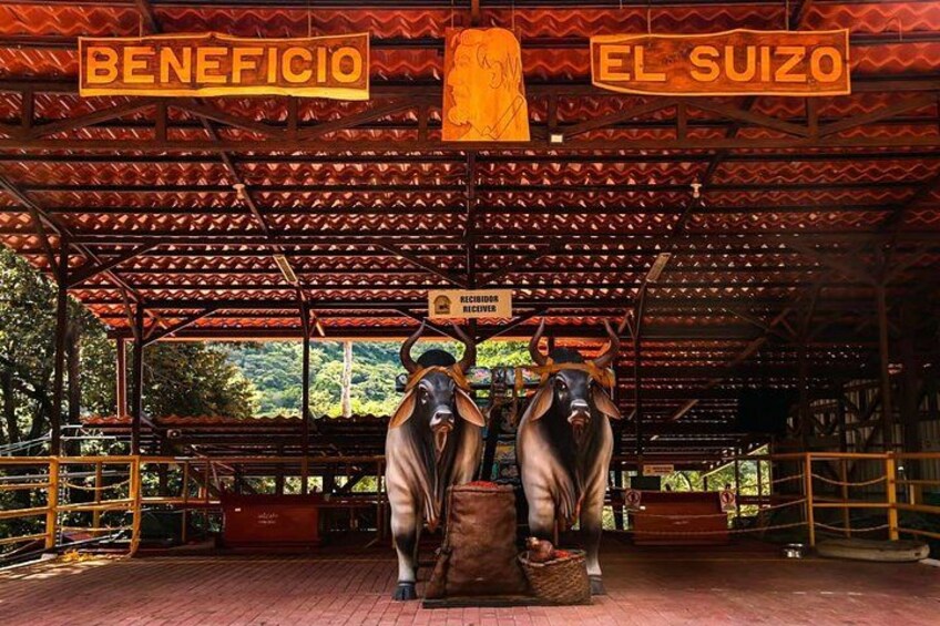 San Jose Hacienda La Chimba Coffee Experience Tour 3