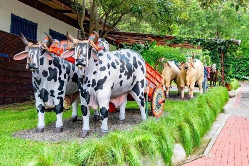 San Jose Hacienda La Chimba Coffee Experience Tour 4