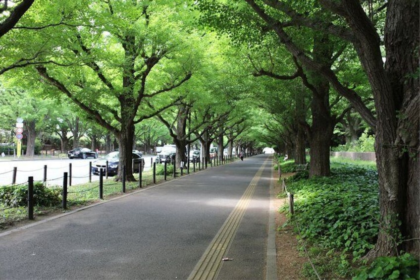 Tokyo Guided E-Bike Tour Hidden Streets and Local Neighborhoods 2