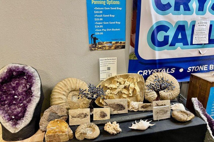 A display of various geological specimens including crystals, fossils, and sand bags. 3