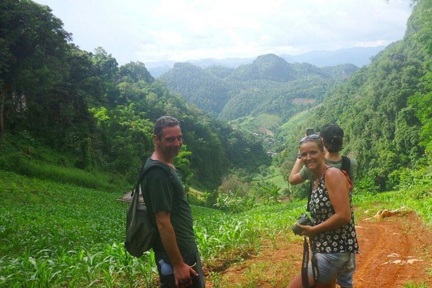 A mountainous landscape with lush greenery and a dirt path. 2