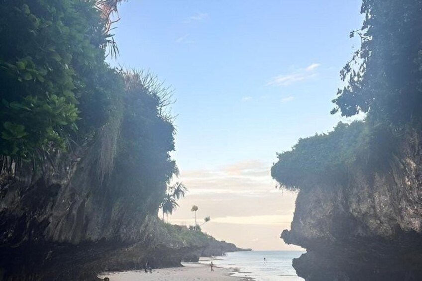 A beach with cliffs, clear sky, and a distant palm tree. 2