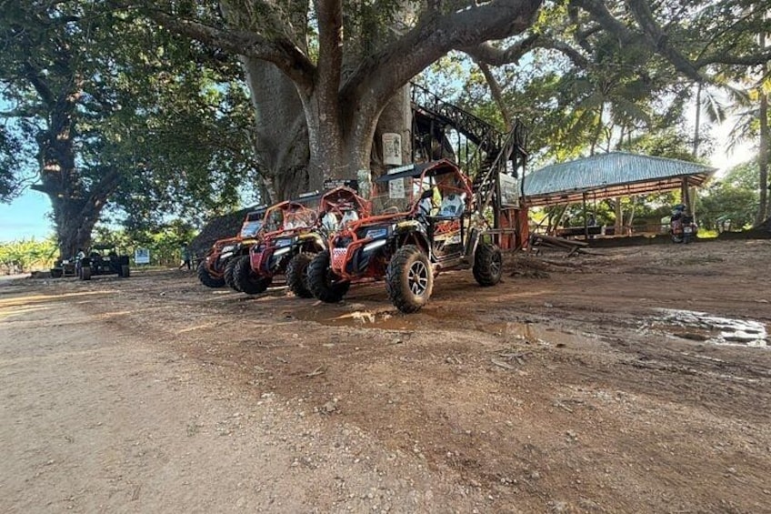 Four off-road vehicles parked under a large tree, a dirt ground, and a small structure with a blue roof. 4