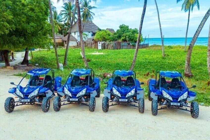 Zanzibar Buggy Adventure In South 5