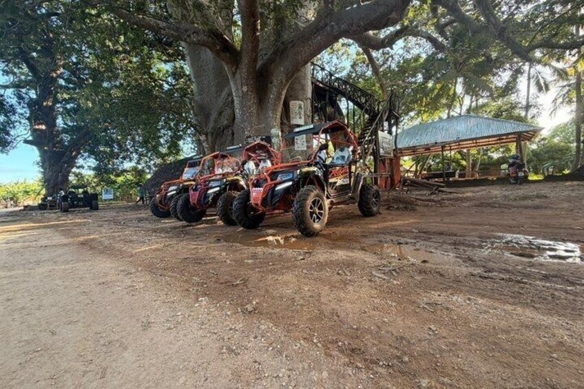 Zanzibar Buggy Adventure In South 2