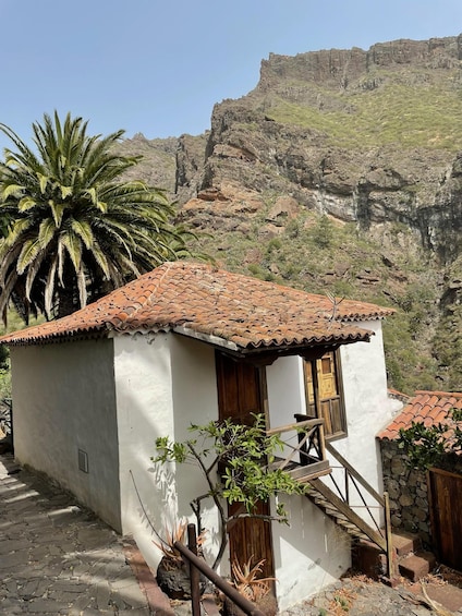 Picture 7 for Activity Tenerife: Masca Village, coffe & brunch 2